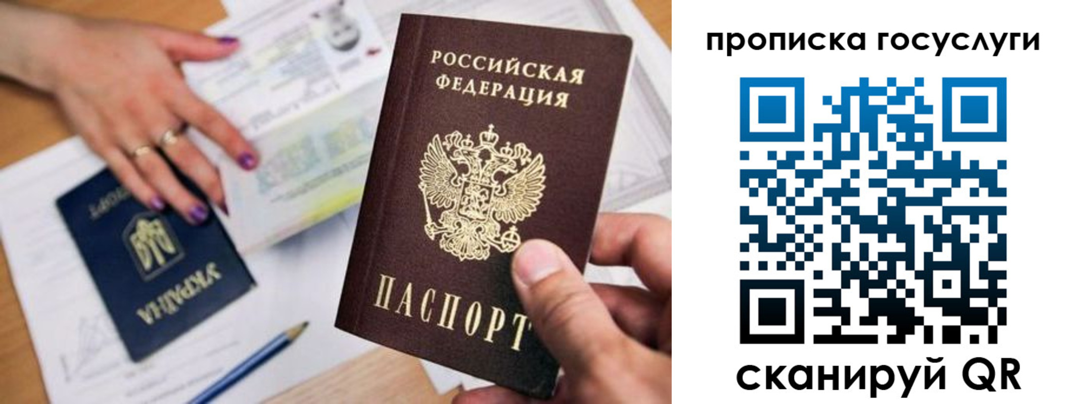 временная прописка в Суздали